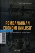 Pembangunan ekonomi inklusif : sudah sejauh mana Indonesia ?